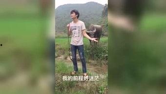 午夜福利视频在线国产,揭秘国产视频的精彩瞬间